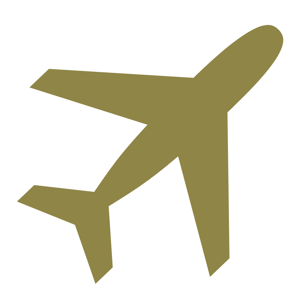 Plane icon